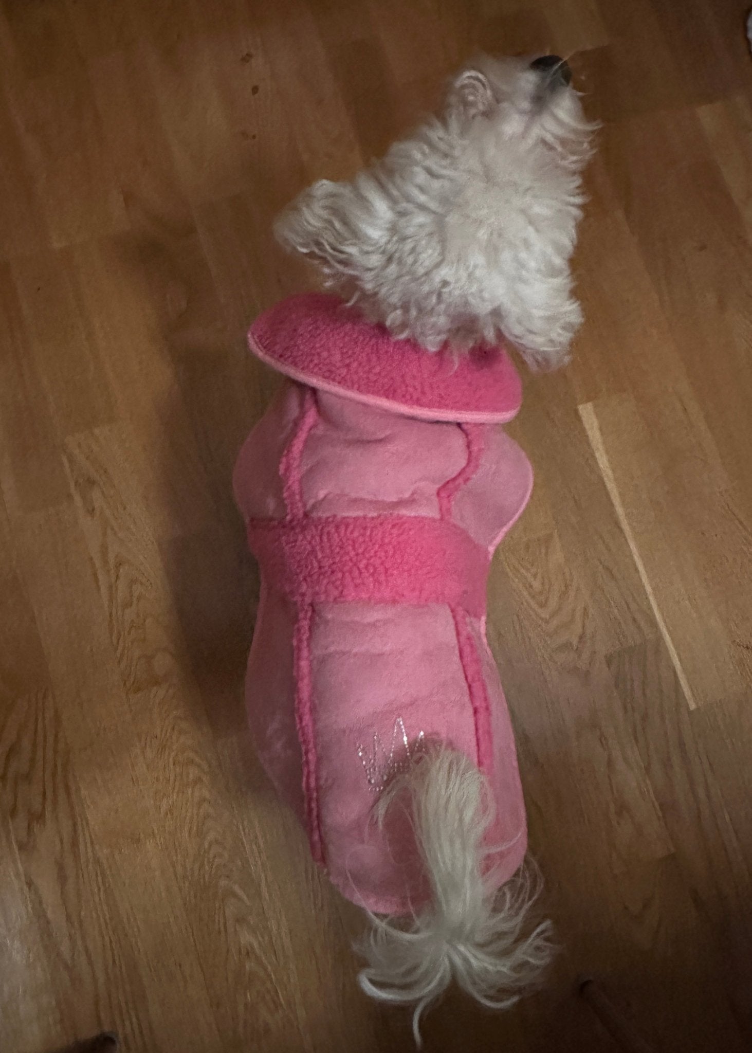 Hundtäcke med teddyfoder | 40 | - Hundtäcke - Equi ReUse Sweden AB