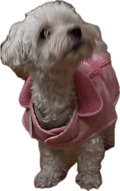 Hundtäcke med teddyfoder | 40 | - Hundtäcke - Equi ReUse Sweden AB