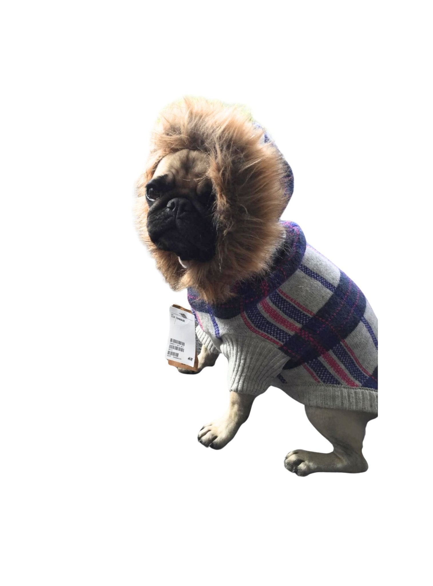 Hundtröja Hoodie | 37 | H&M - Equi ReUse Sweden AB