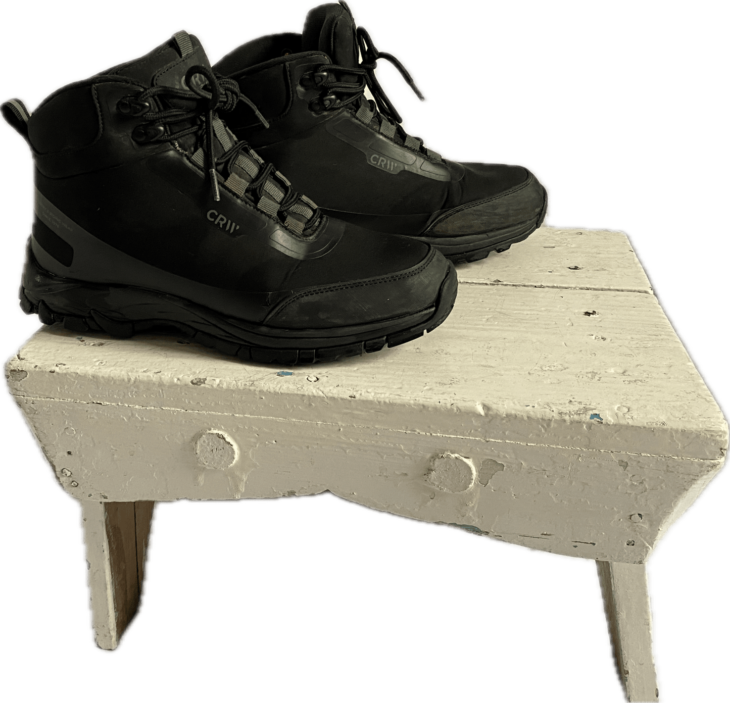 Känga/ stallsko | CRW - Equi ReUse Sweden AB