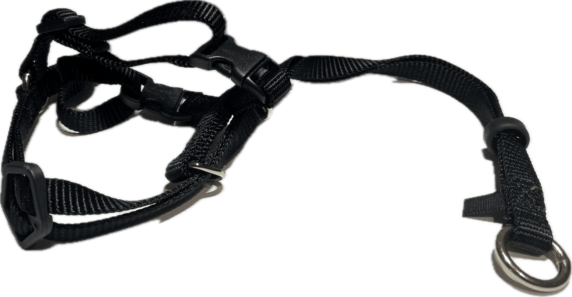 Kattsele | PetCare Active Cats - Equi ReUse Sweden AB