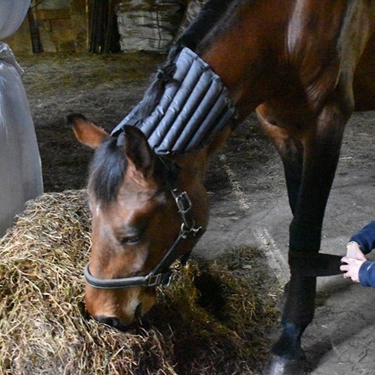 Nackvärmare | Equie Eco - Equi ReUse Sweden AB