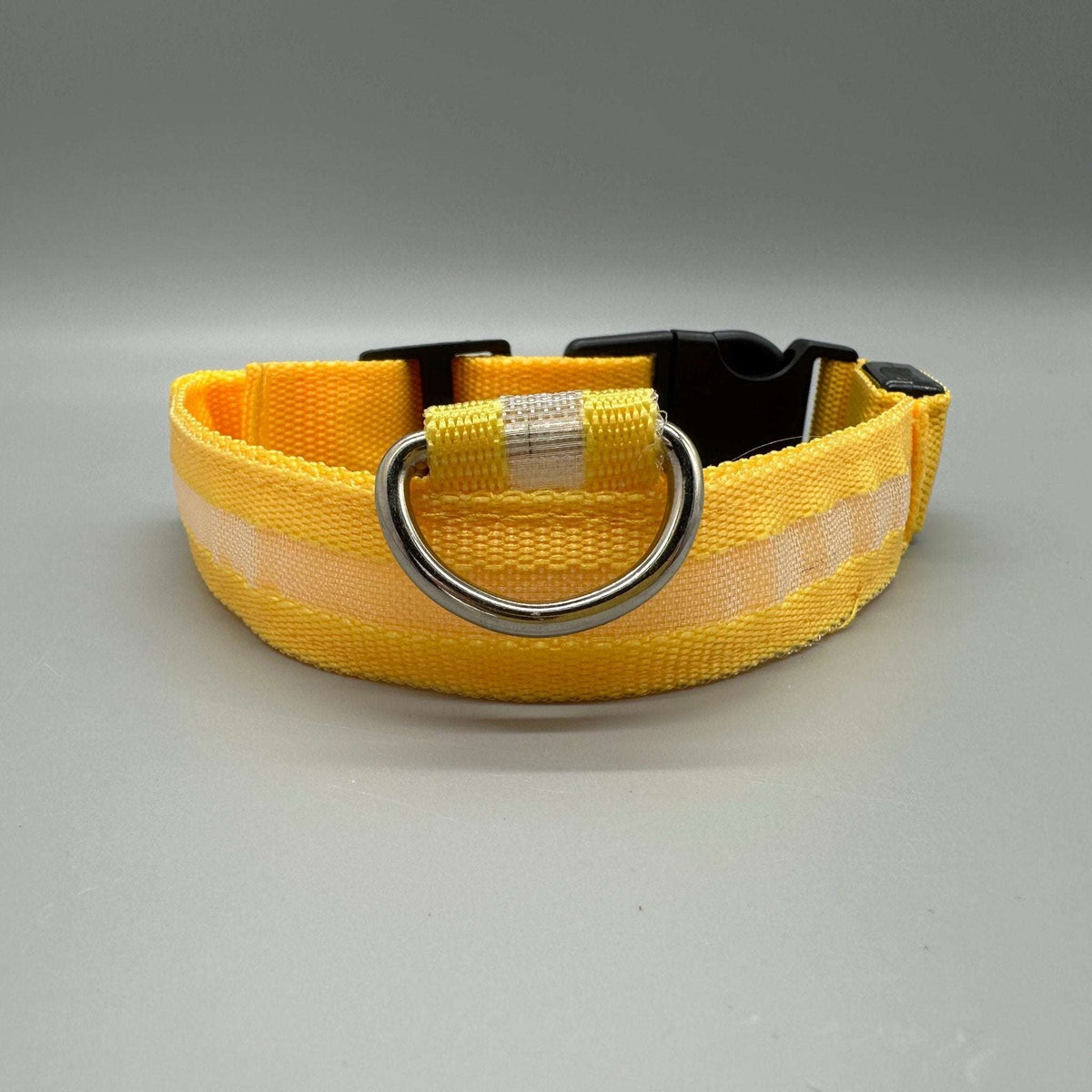 Hundhalsband med LED-ljus med fast och blinkande sken