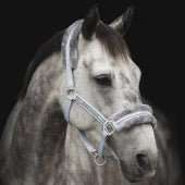 Grimma Horse Unique | Shetl | Källquist Equestrian