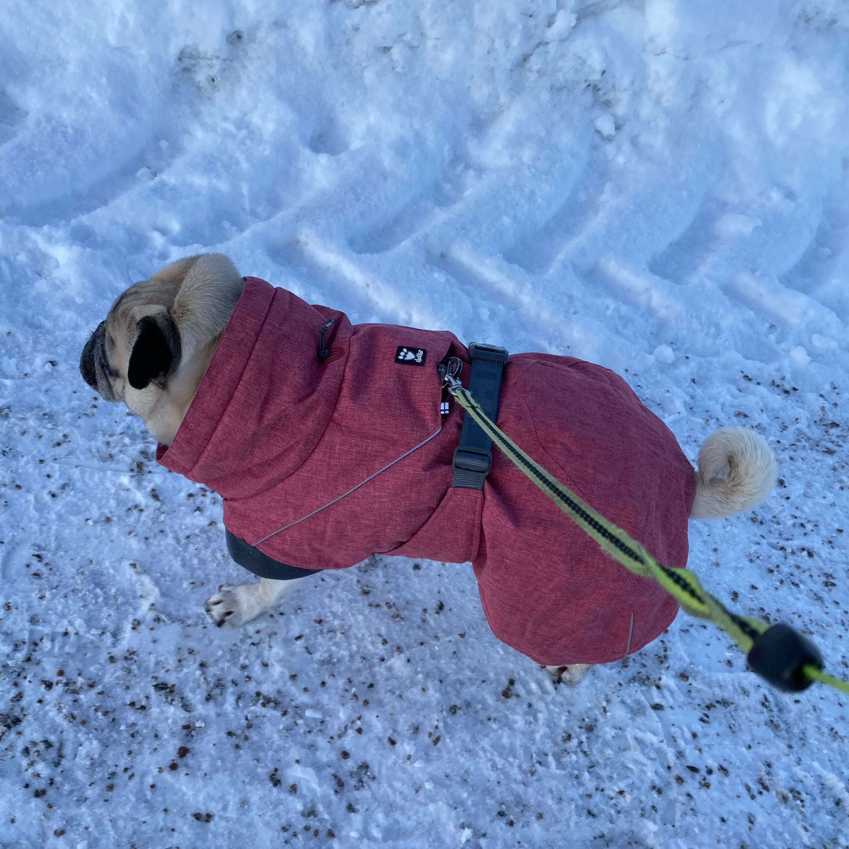 Vintertäcke hund | 35XL | Hurtta Expedition Parka