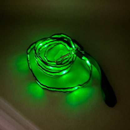 Hundkoppel med LED-ljus plus reflexband