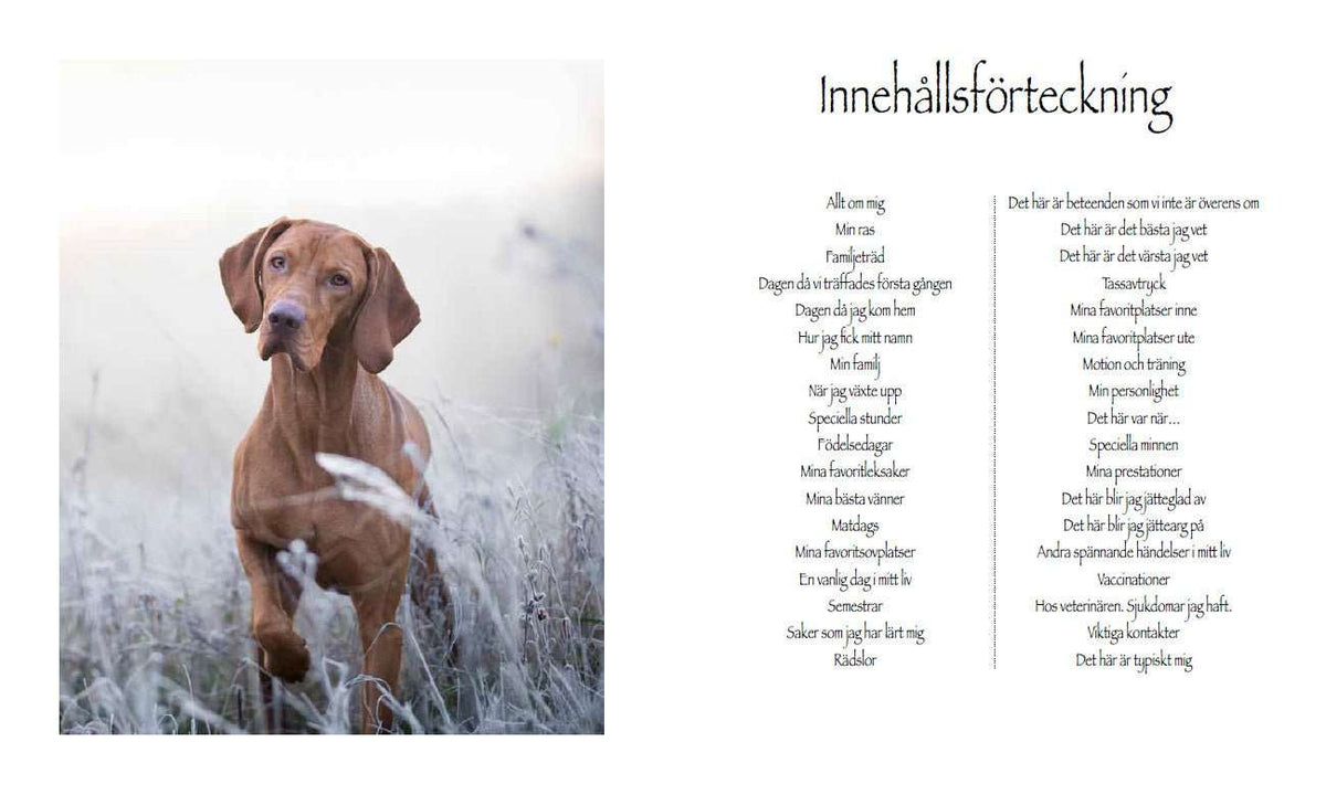 Bok | Mitt härliga hundliv