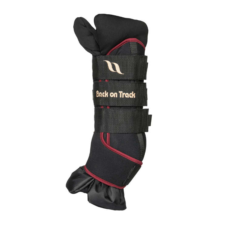 Stallbandage Transportskydd | S | Back on Track Quick Wraps Royal Deluxe