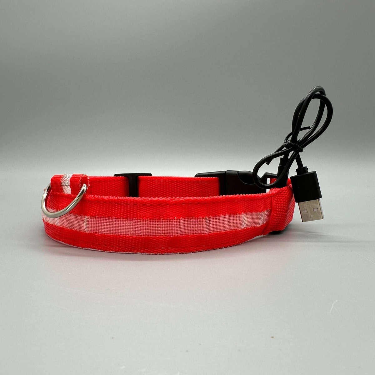 Hundhalsband med LED-ljus med fast och blinkande sken