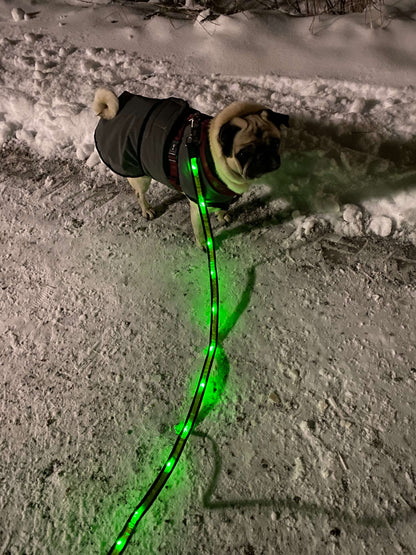 Hundkoppel med LED-ljus plus reflexband