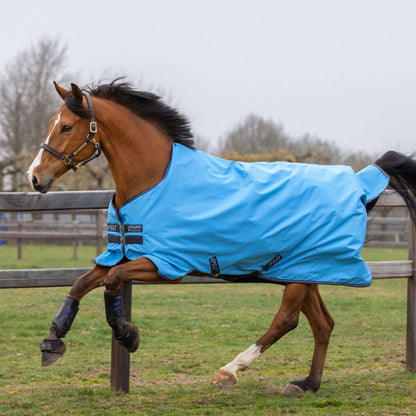 Amigo Hero 900 T/O Lite 0g | 145 | Horseware