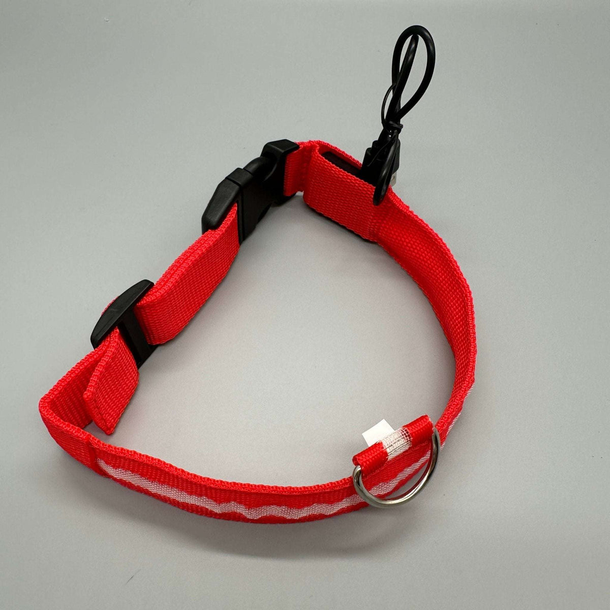 Hundhalsband med LED-ljus med fast och blinkande sken