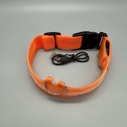 Hundhalsband med LED-ljus med fast och blinkande sken
