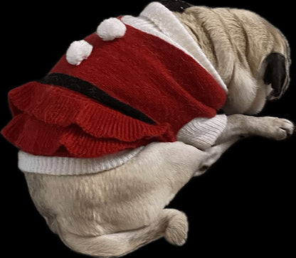 Julklänning & luva för hund | H&M