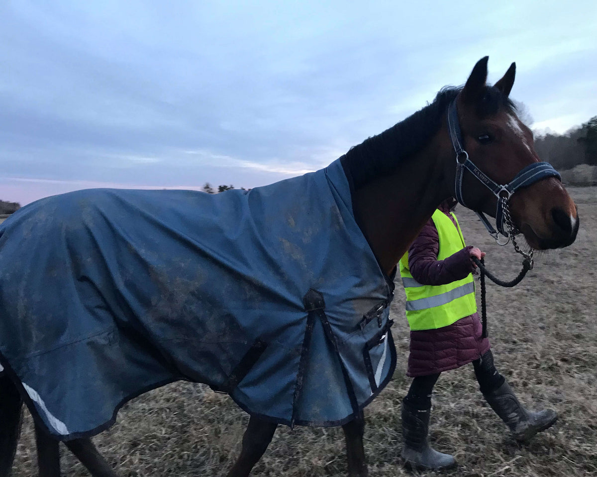 Utetäcke 100g | 135 | Shires Typhoon