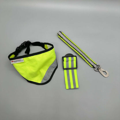 Reflexset för hund | S | 3M Scotchlite