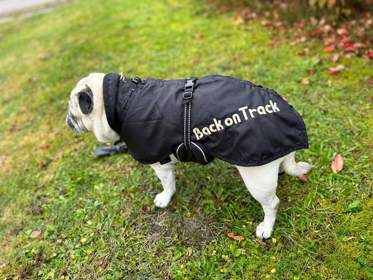 Hundtäcke allround | 34 | Back on Track