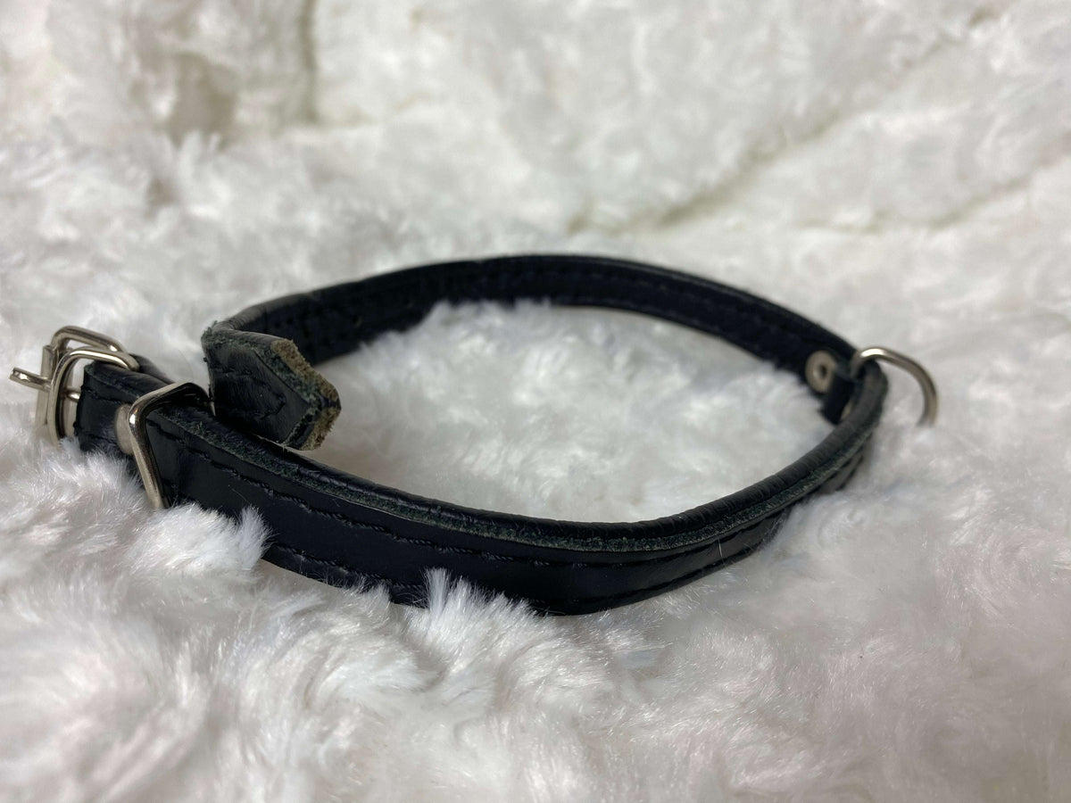 Hundhalsband | S/M