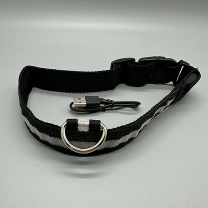 Hundhalsband med LED-ljus med fast och blinkande sken