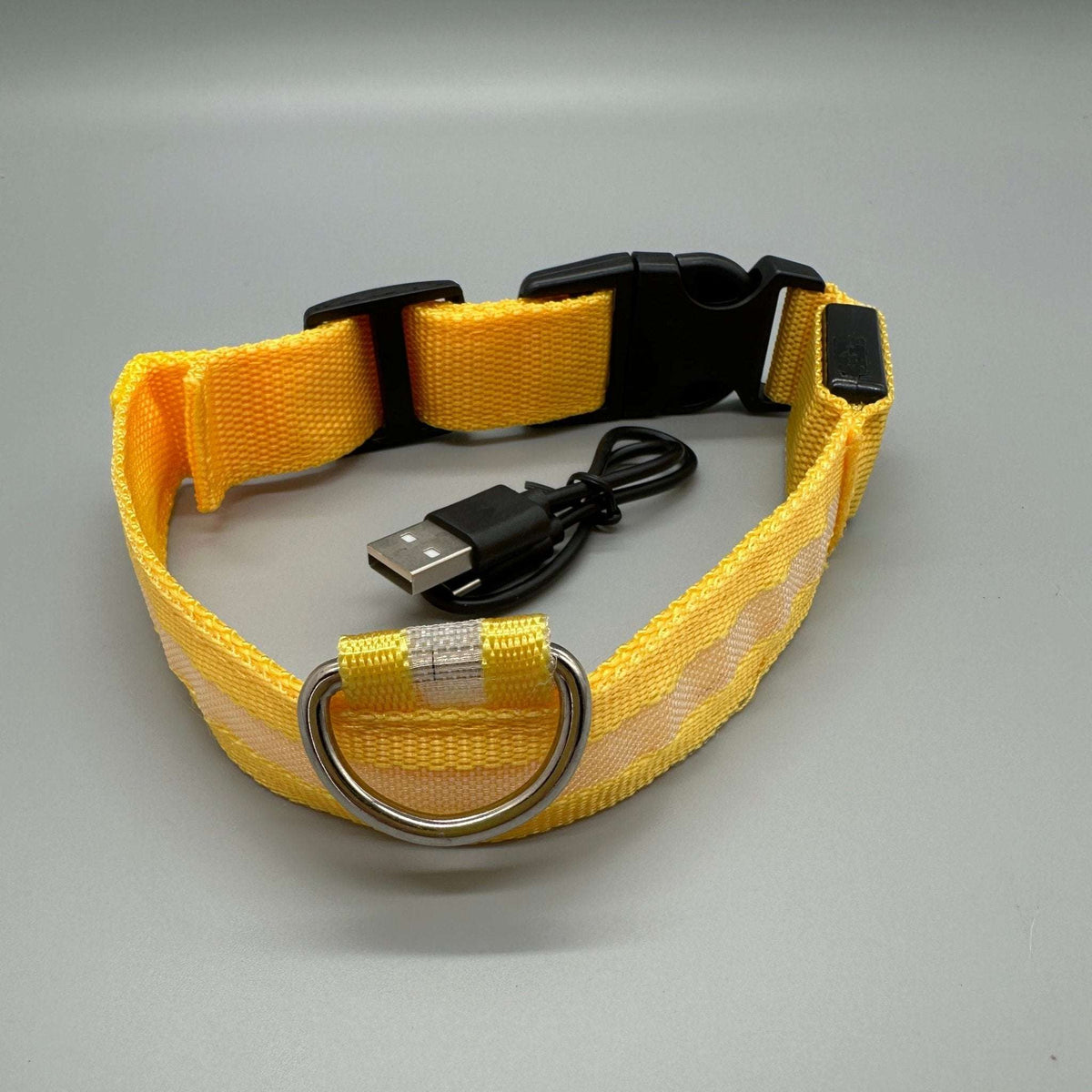 Hundhalsband med LED-ljus med fast och blinkande sken