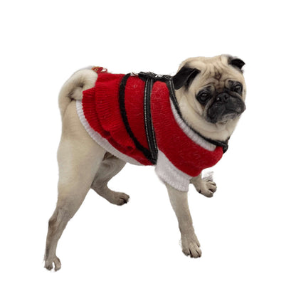 Julklänning & luva för hund | H&M