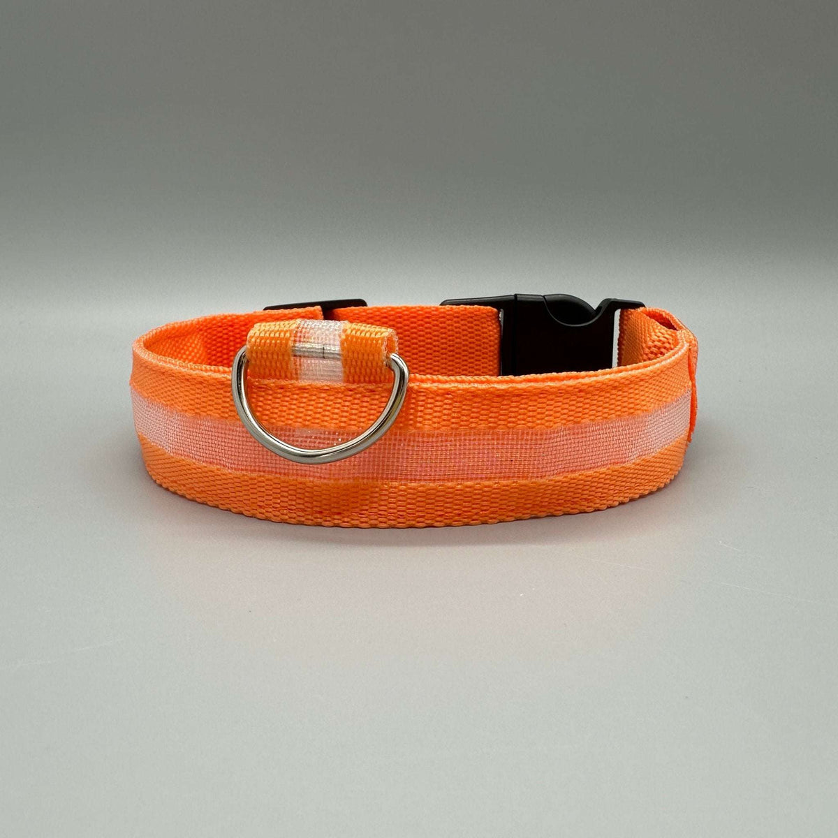 Hundhalsband med LED-ljus med fast och blinkande sken