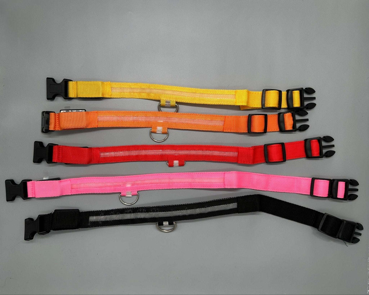 Hundhalsband med LED-ljus med fast och blinkande sken