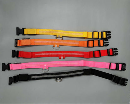 Hundhalsband med LED-ljus med fast och blinkande sken