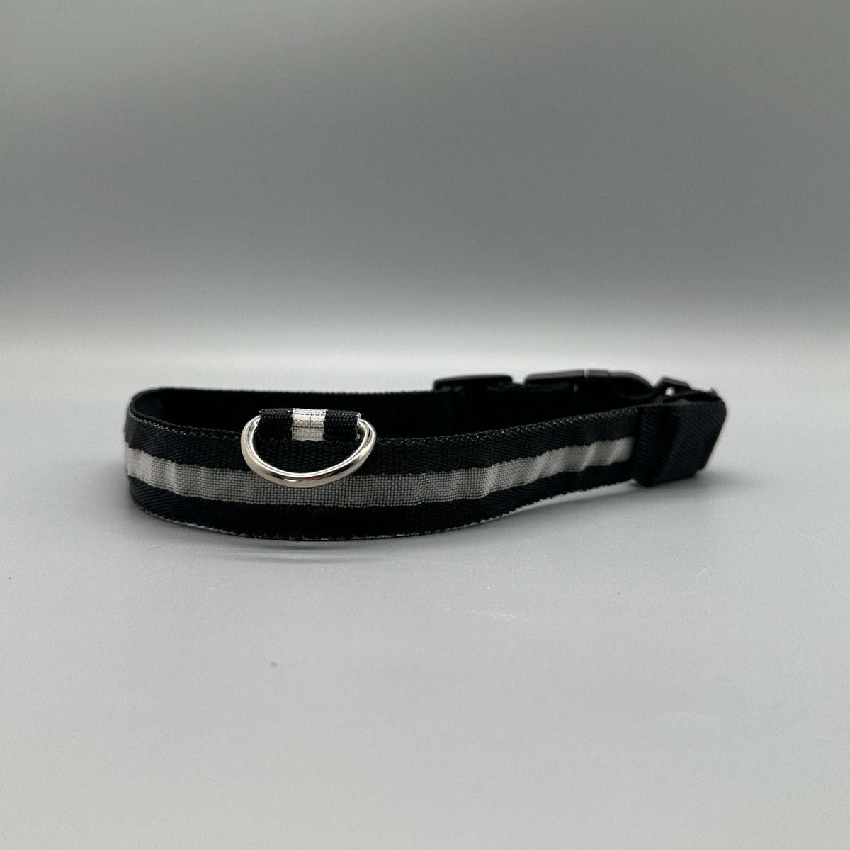 Hundhalsband med LED-ljus med fast och blinkande sken