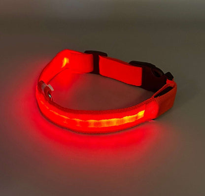 Hundhalsband med LED-ljus med fast och blinkande sken