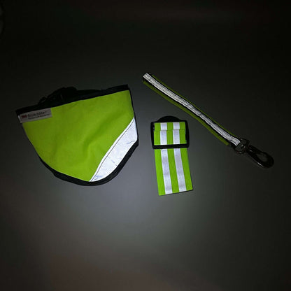 Reflexset för hund | S | 3M Scotchlite