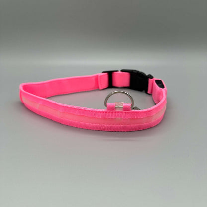 Hundhalsband med LED-ljus med fast och blinkande sken