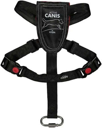 Bilsele | Active Canis