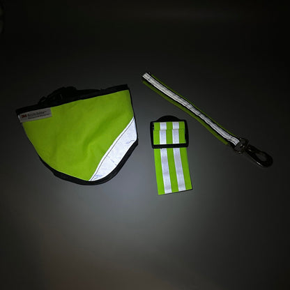 Reflexset för hund | S | 3M Scotchlite - Reflex - Equi ReUse Sweden AB