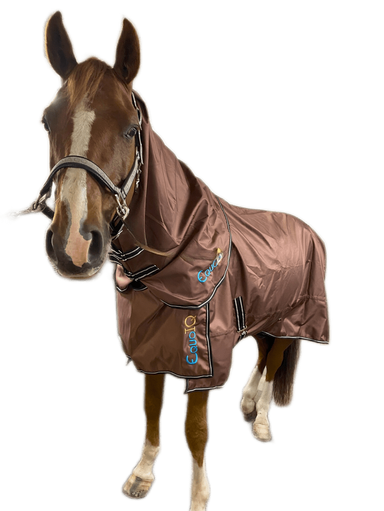 Regntäcke 0g | 145 | EquoIQ - Equi ReUse Sweden AB
