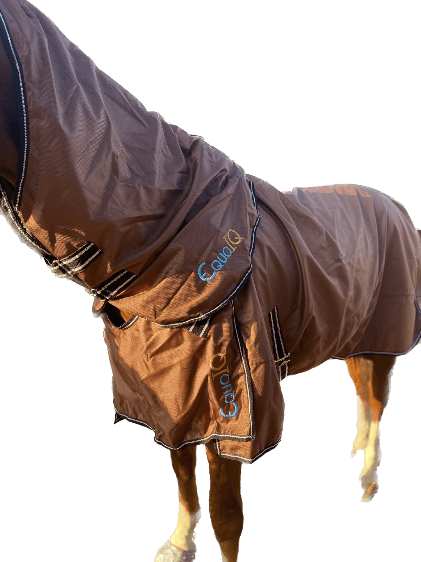 Regntäcke 0g | 145 | EquoIQ - Equi ReUse Sweden AB