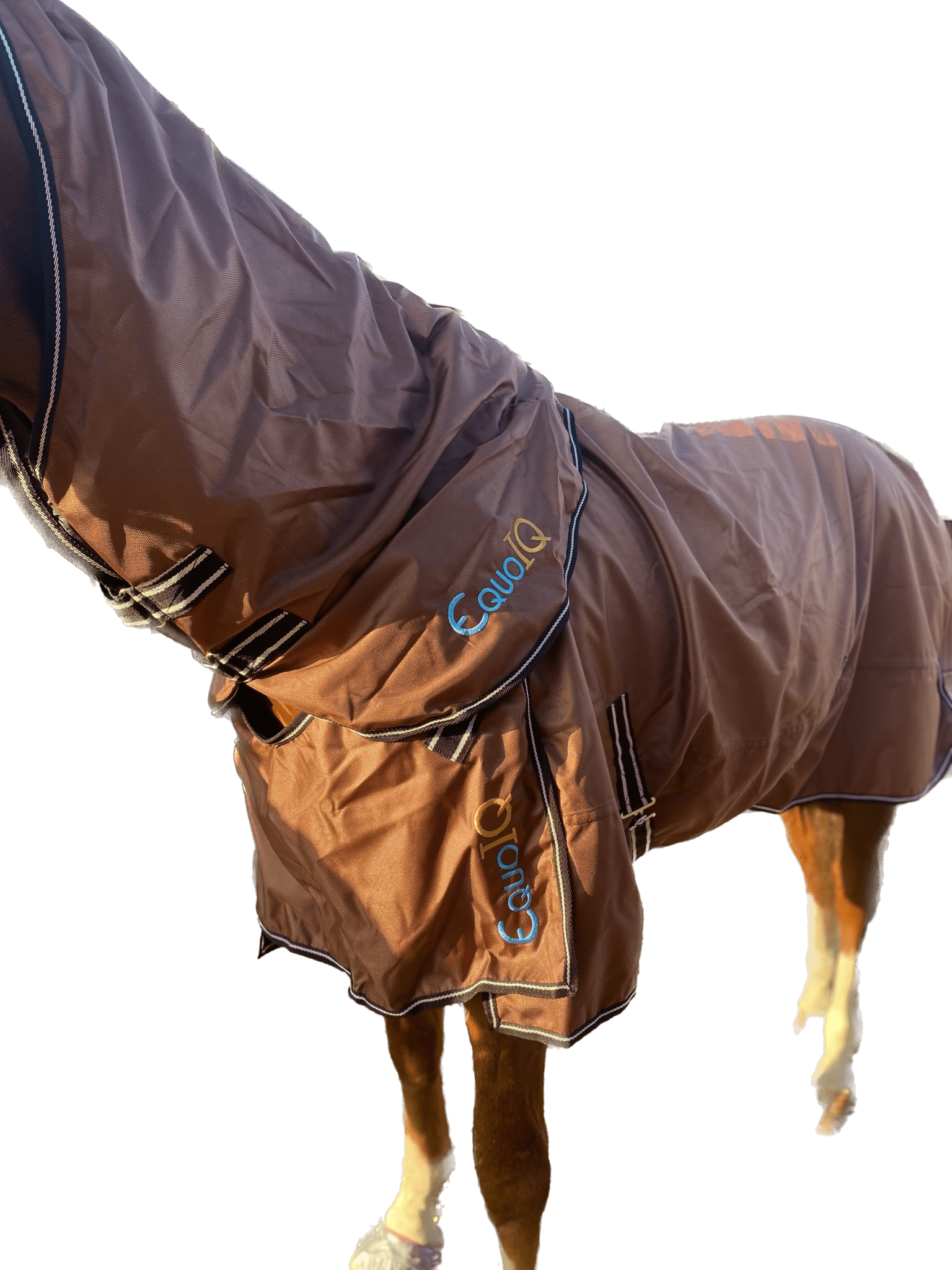 Regntäcke 0g | 145 | EquoIQ - Equi ReUse Sweden AB