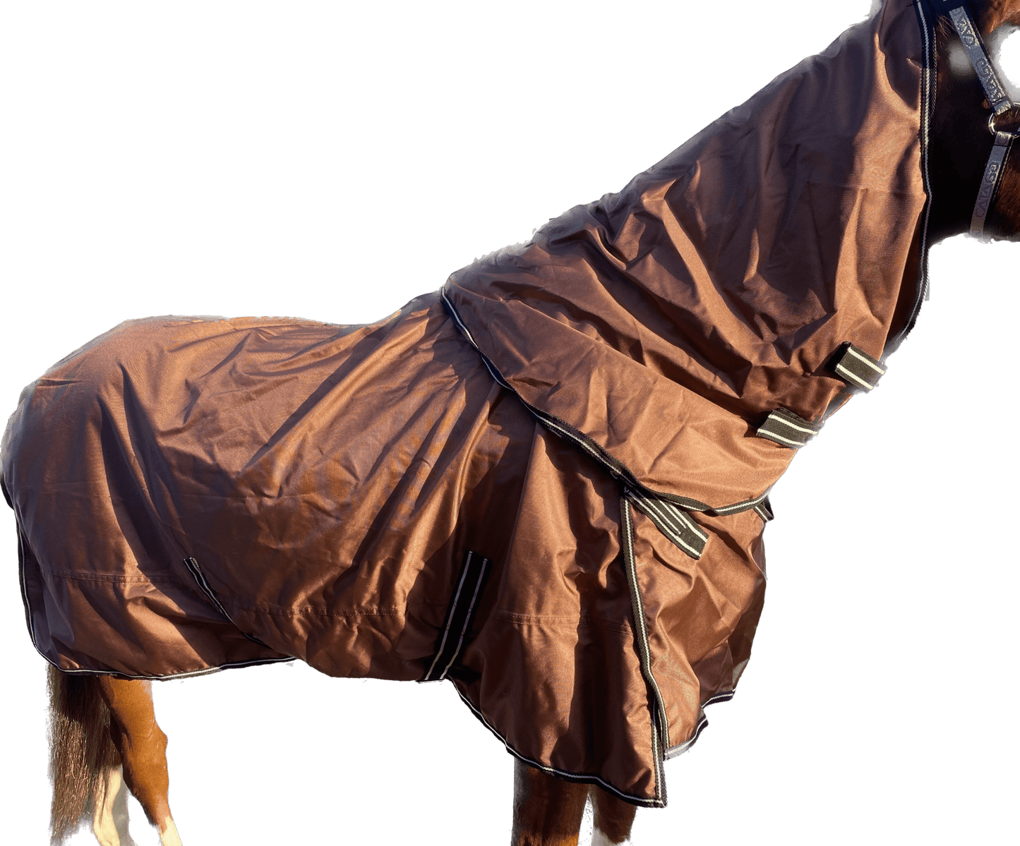 Regntäcke 0g | 145 | EquoIQ - Equi ReUse Sweden AB