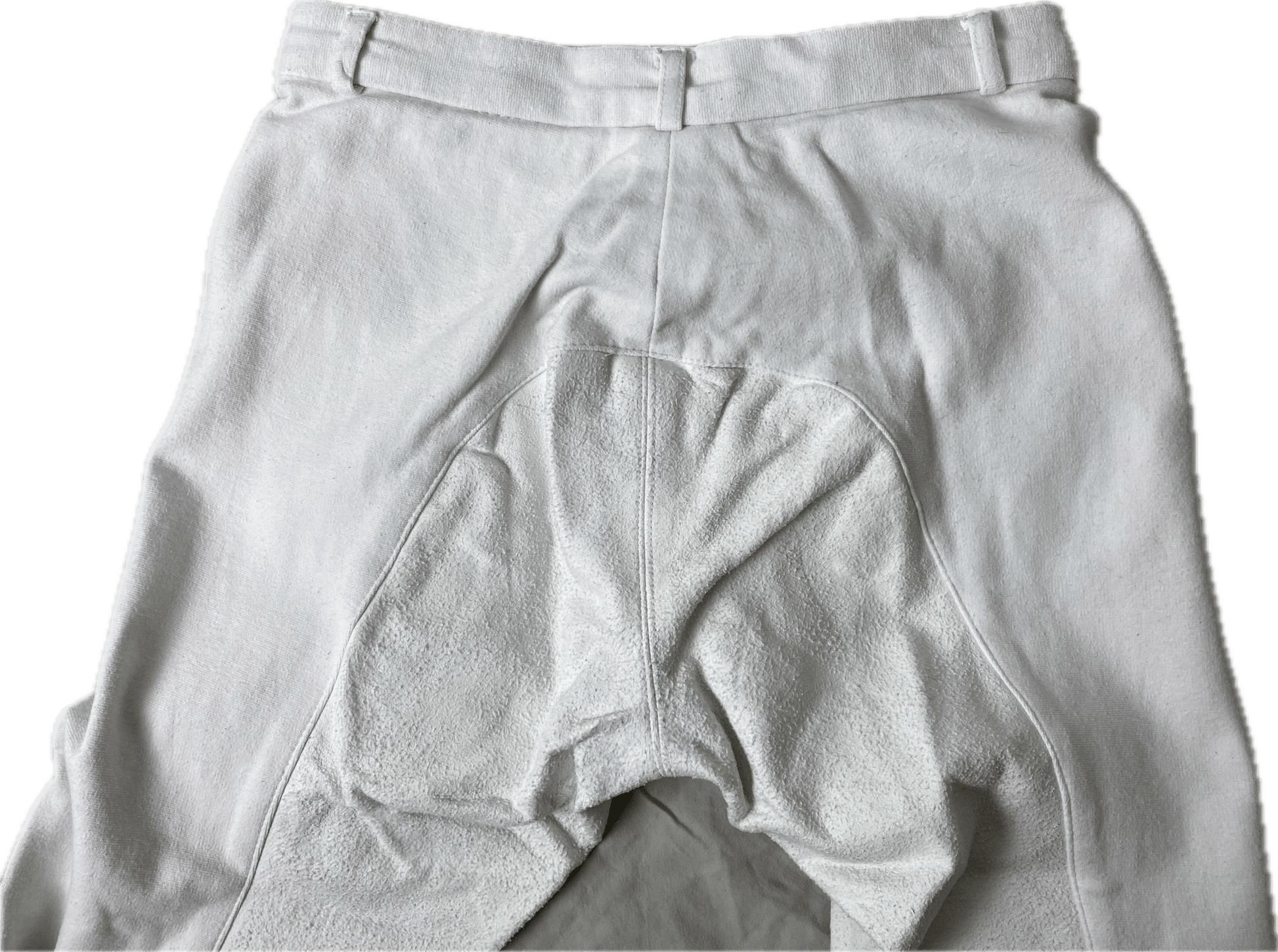 Ridbyxa | 36 | Classic Touch - Equi ReUse Sweden AB