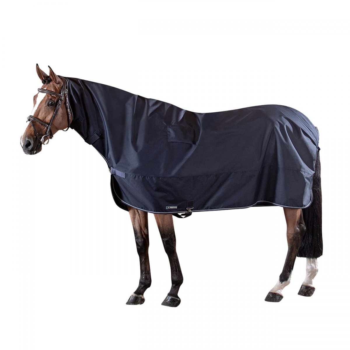 Ridregntäcke 0g | L, XL | Equiline Corby - Regntäcke - Equi ReUse Sweden AB