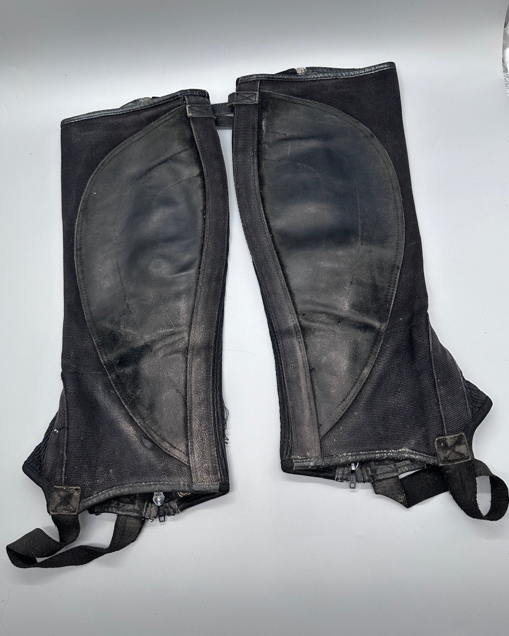 Shortchaps | XL | Jacson - Chaps - Equi ReUse Sweden AB