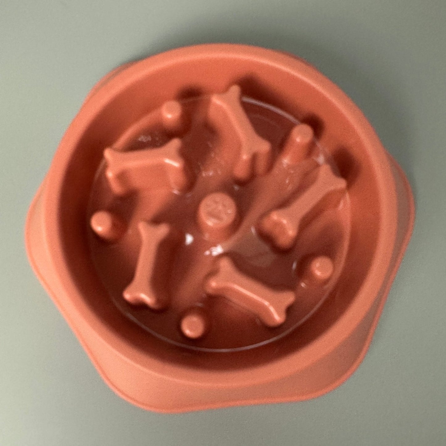 Slowfeed matskål för hund - Equi ReUse Sweden AB