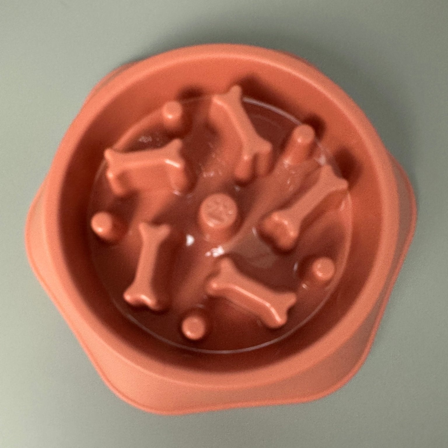 Slowfeed matskål för hund - Equi ReUse Sweden AB