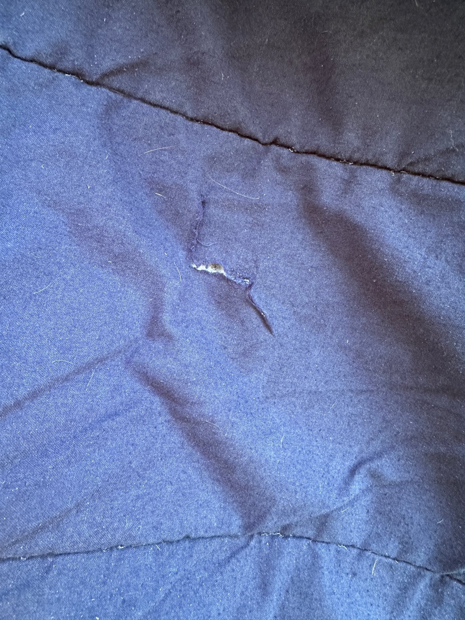 Stalltäcke | 155 | Horseware Insulator Stable Rug - Equi ReUse Sweden AB