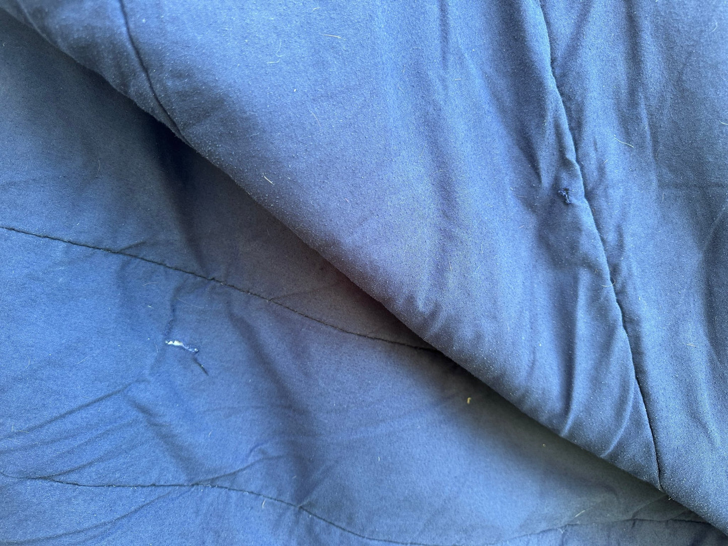 Stalltäcke | 155 | Horseware Insulator Stable Rug - Equi ReUse Sweden AB