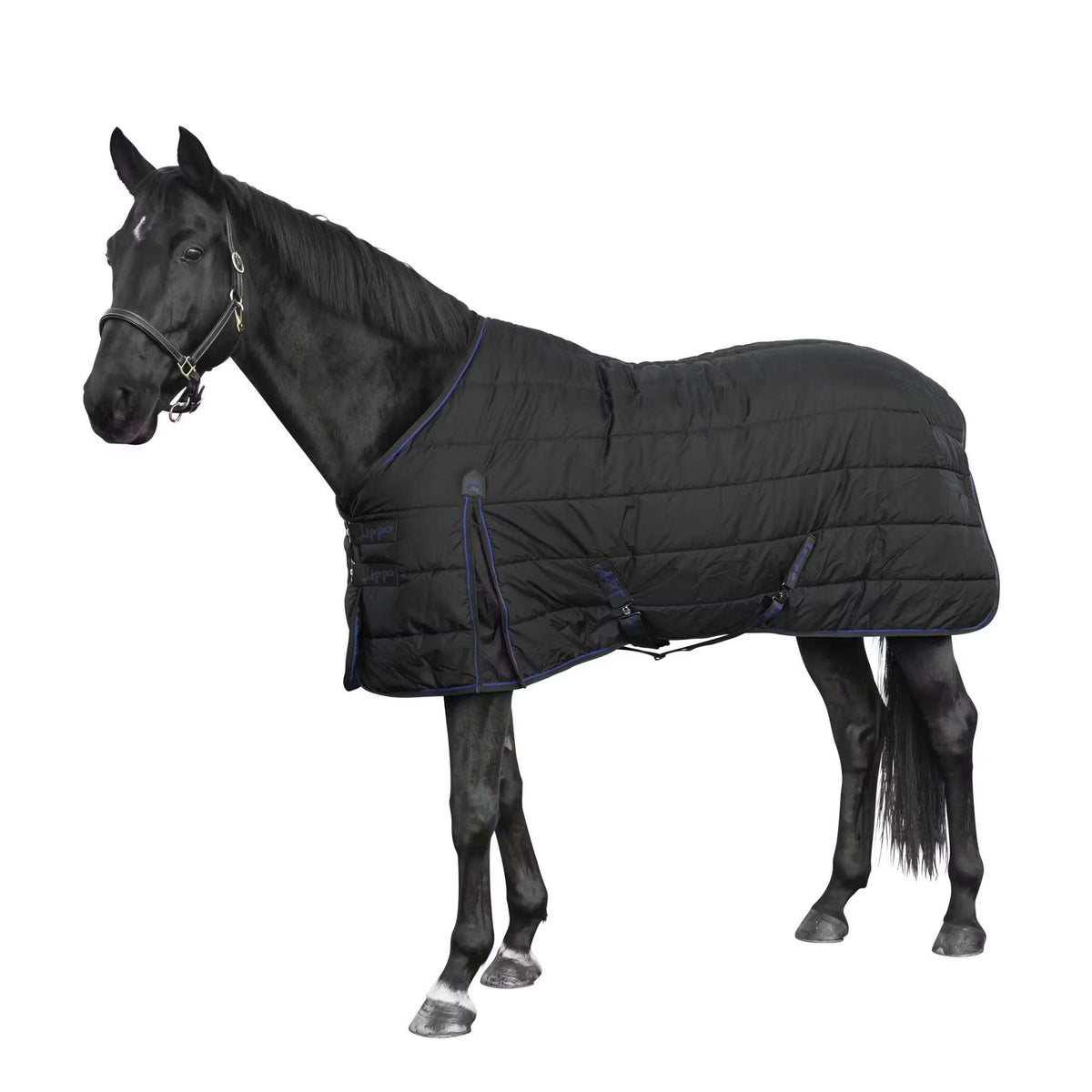 Stalltäcke 200g | 125 | Lippo Supreme - Equi ReUse Sweden AB