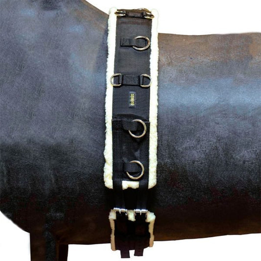 Tömkörningsgjord | S | Globus Sport - Tömkörningsgjord - Equi ReUse Sweden AB