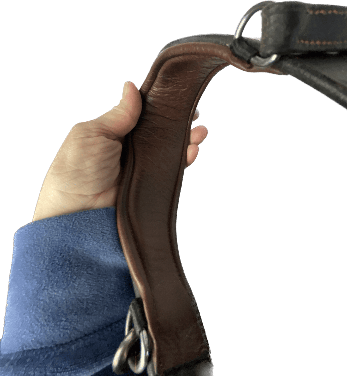 Träns | Cob | Dyón Fancy - Equi ReUse Sweden AB