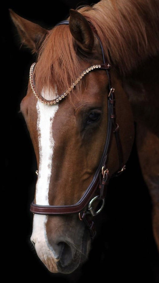 Träns Diva | Cob & Full | Crystal Crown - Equi ReUse Sweden AB