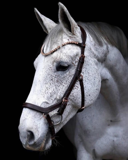 Träns Diva | Full | Crystal Crown - Equi ReUse Sweden AB